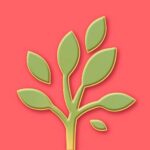 The Mustard Seed Thrift on Mission