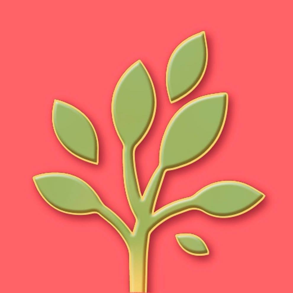 Stylized green plant with several leaves on a coral background, an abstract growth emblem